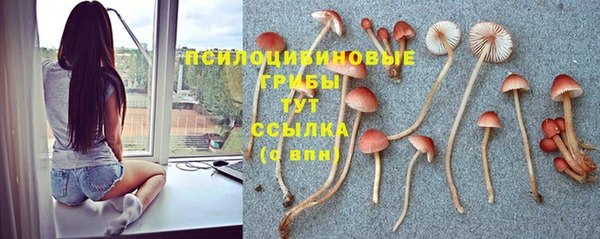 каннабис Беломорск