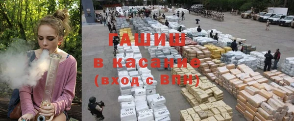 сатива Белоозёрский